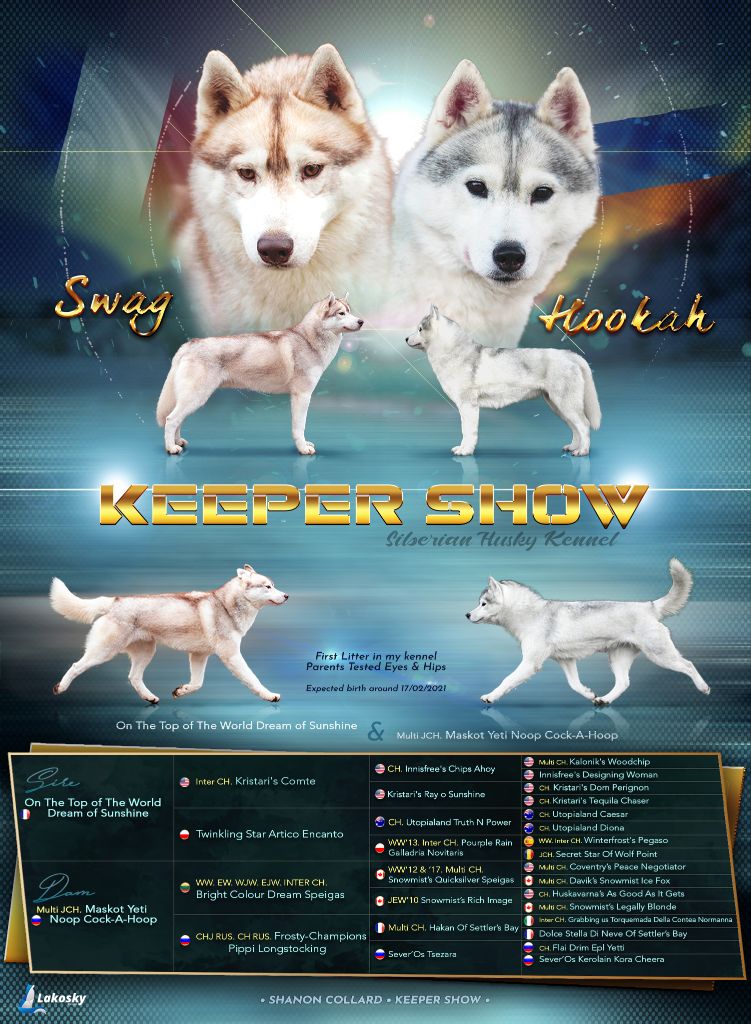 Keeper Show - Gestation Confirmé !